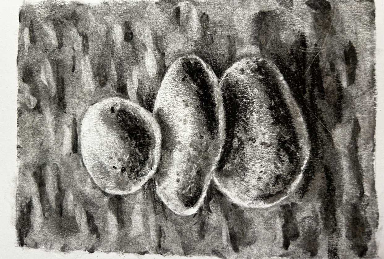 Charcoal - student project