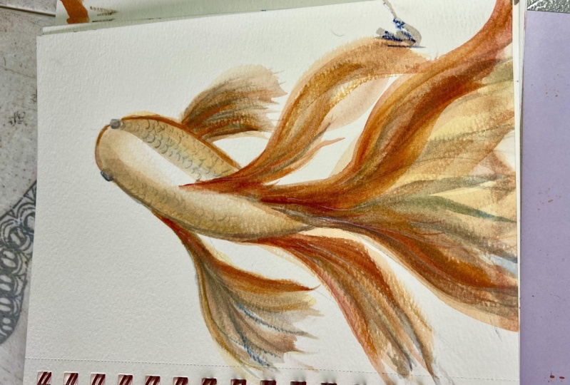 5 min Fish fin…ished