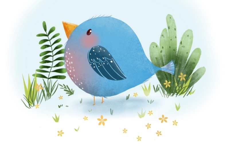 CUte bird