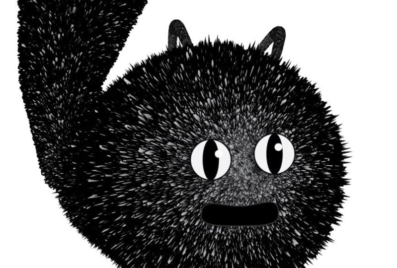cat furry