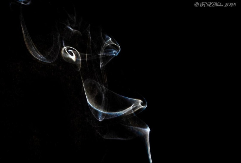 Smoke Deer profile