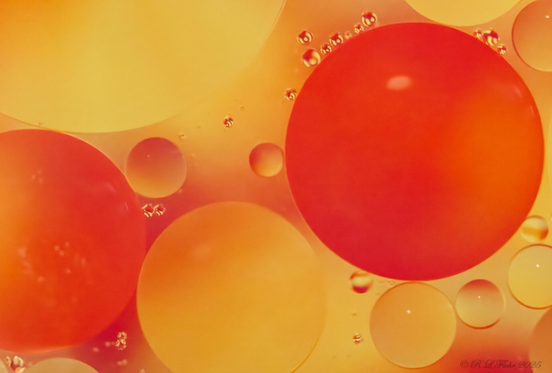 Sunflower Oil and water unstirred