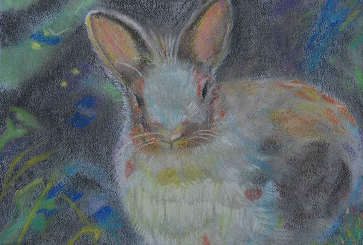 pastel bunny - student project