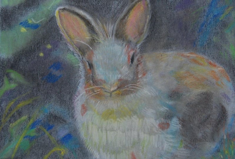 pastel bunny