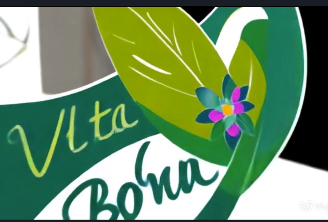VB Brand Identity Strategy Project - student project