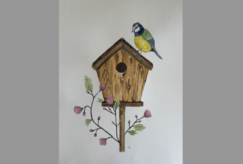 SP Birdhouse