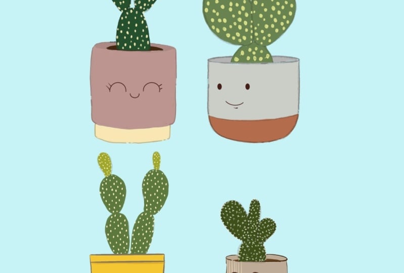 Cute bunny plants