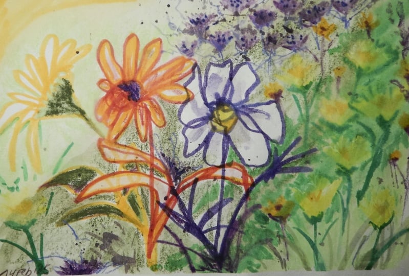 Sketchbook seeds