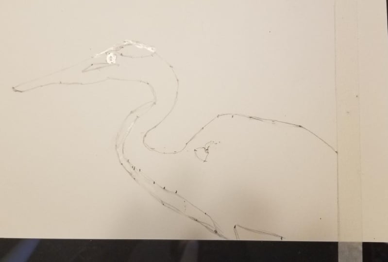 Great Blue Heron of Illinois