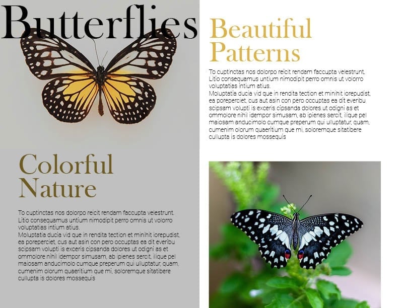 more-projects-from-class-img
