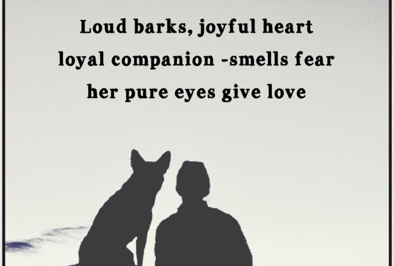 Haiku practice - Animal