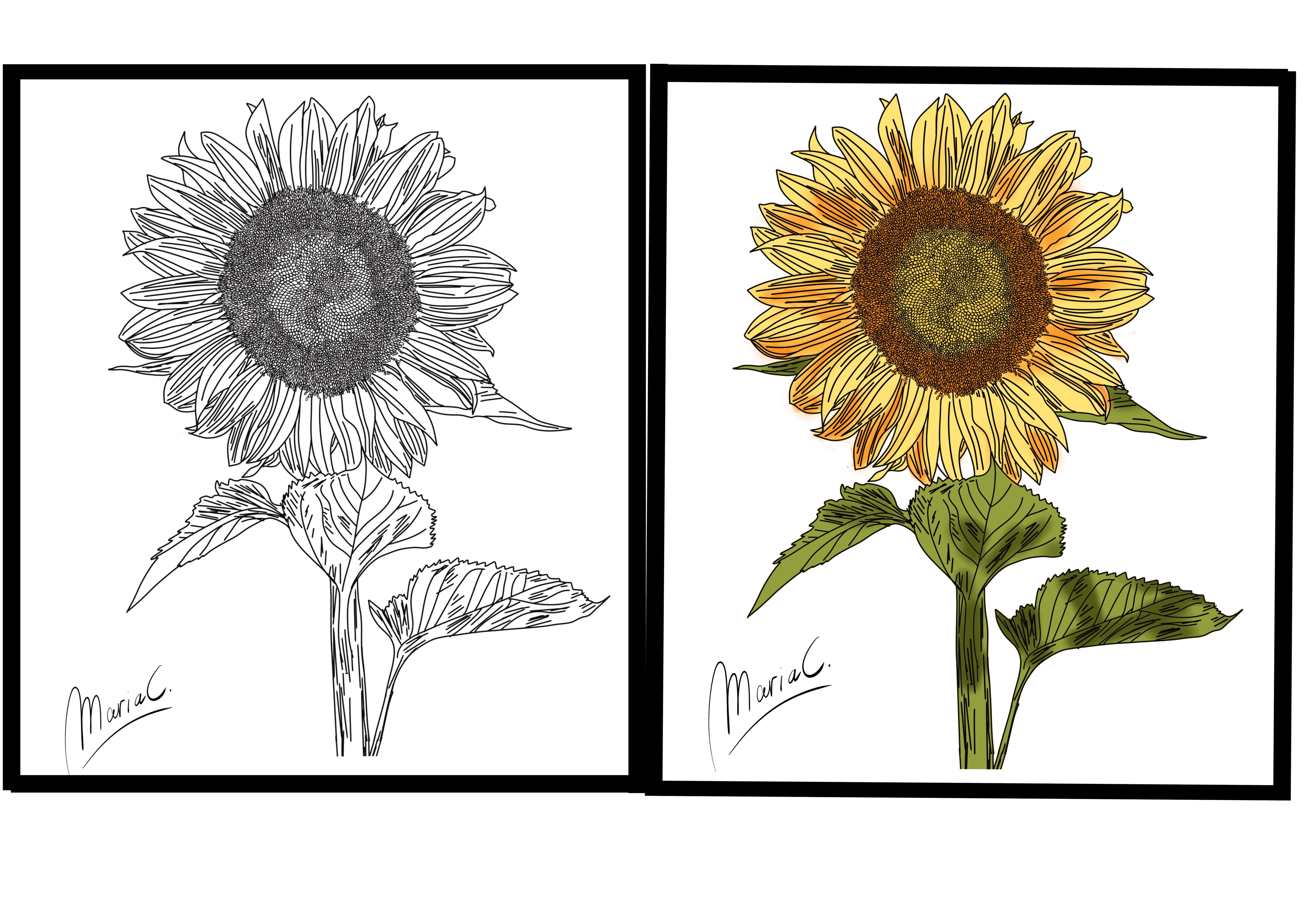 more-projects-from-class-img