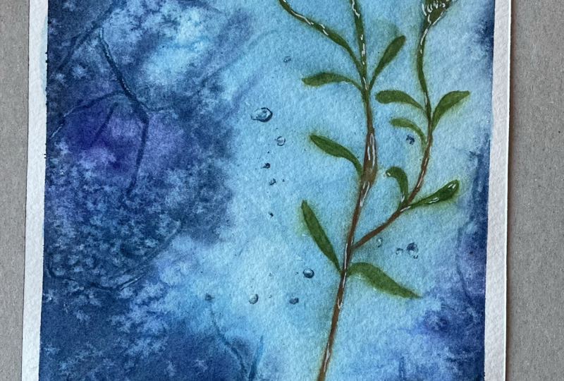 Transparency in Watercolors