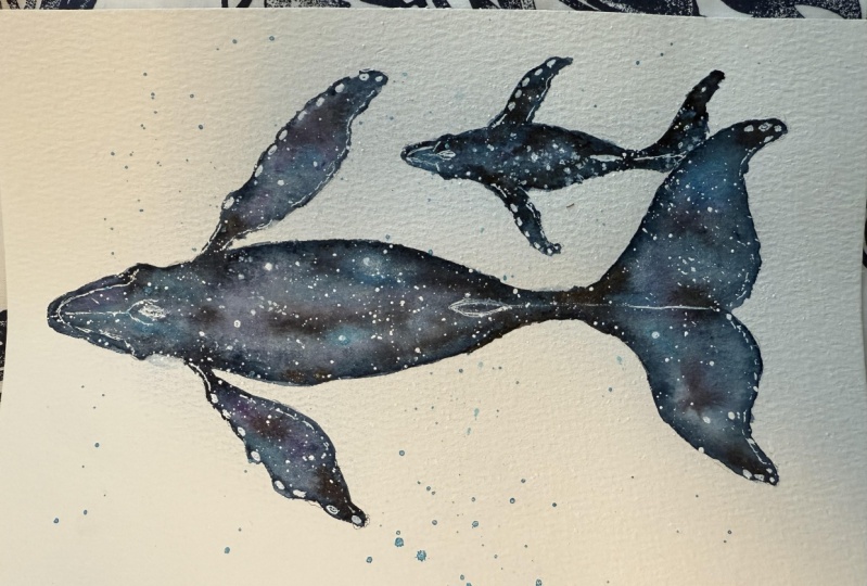 Whales