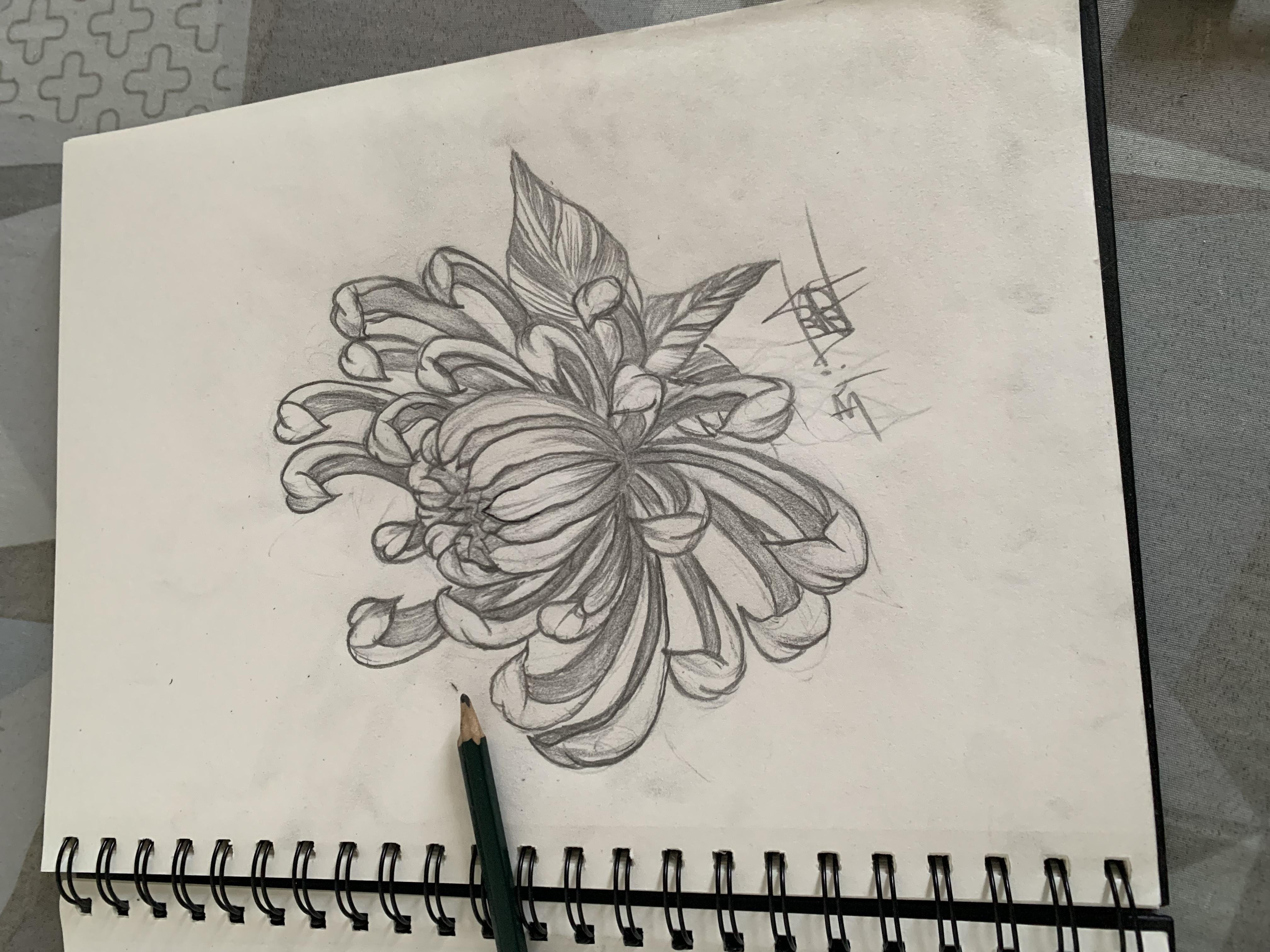 more-projects-from-class-img