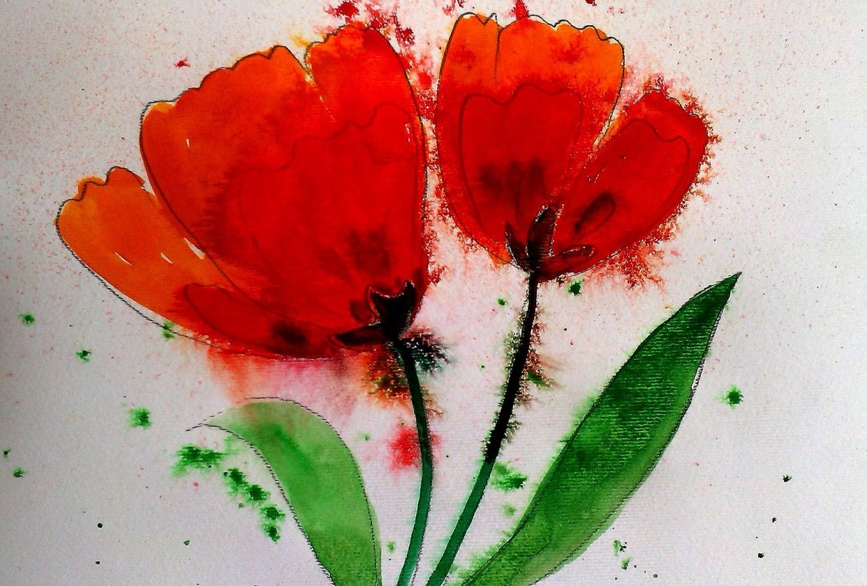Loose watercolor tulips - student project