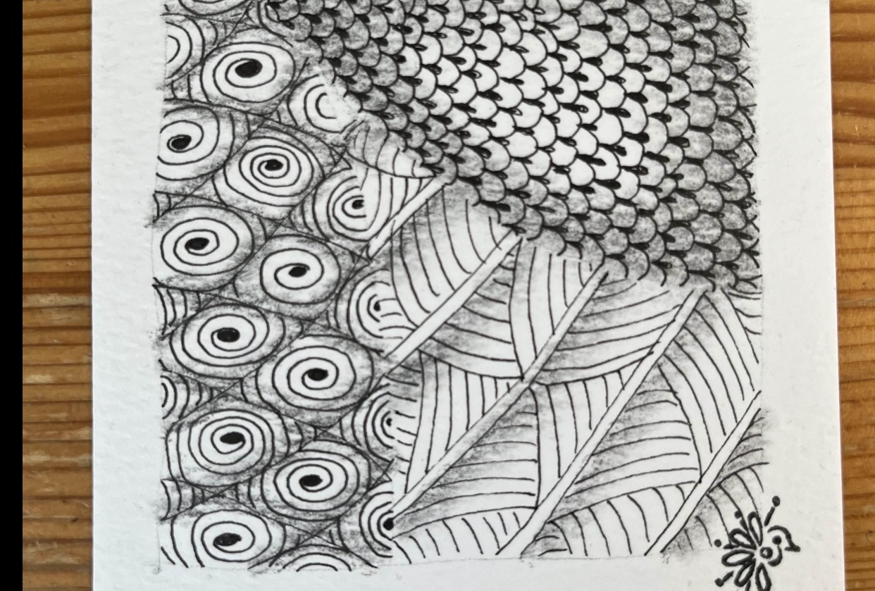 Little tangle in the morning - student project