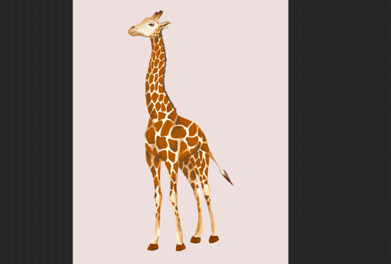 Giraffes!