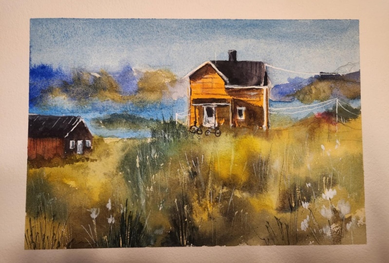 My Norwegian house