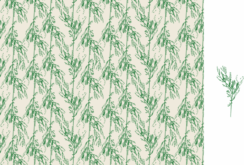 Plant Pattern
