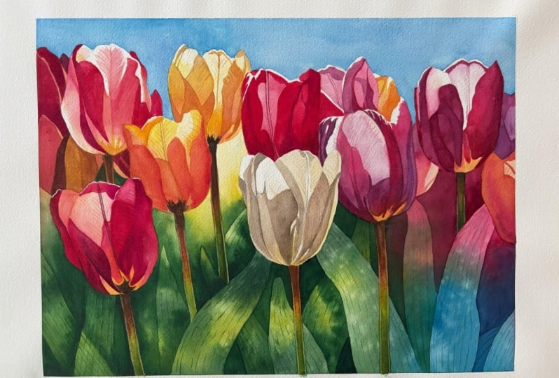 Tulips