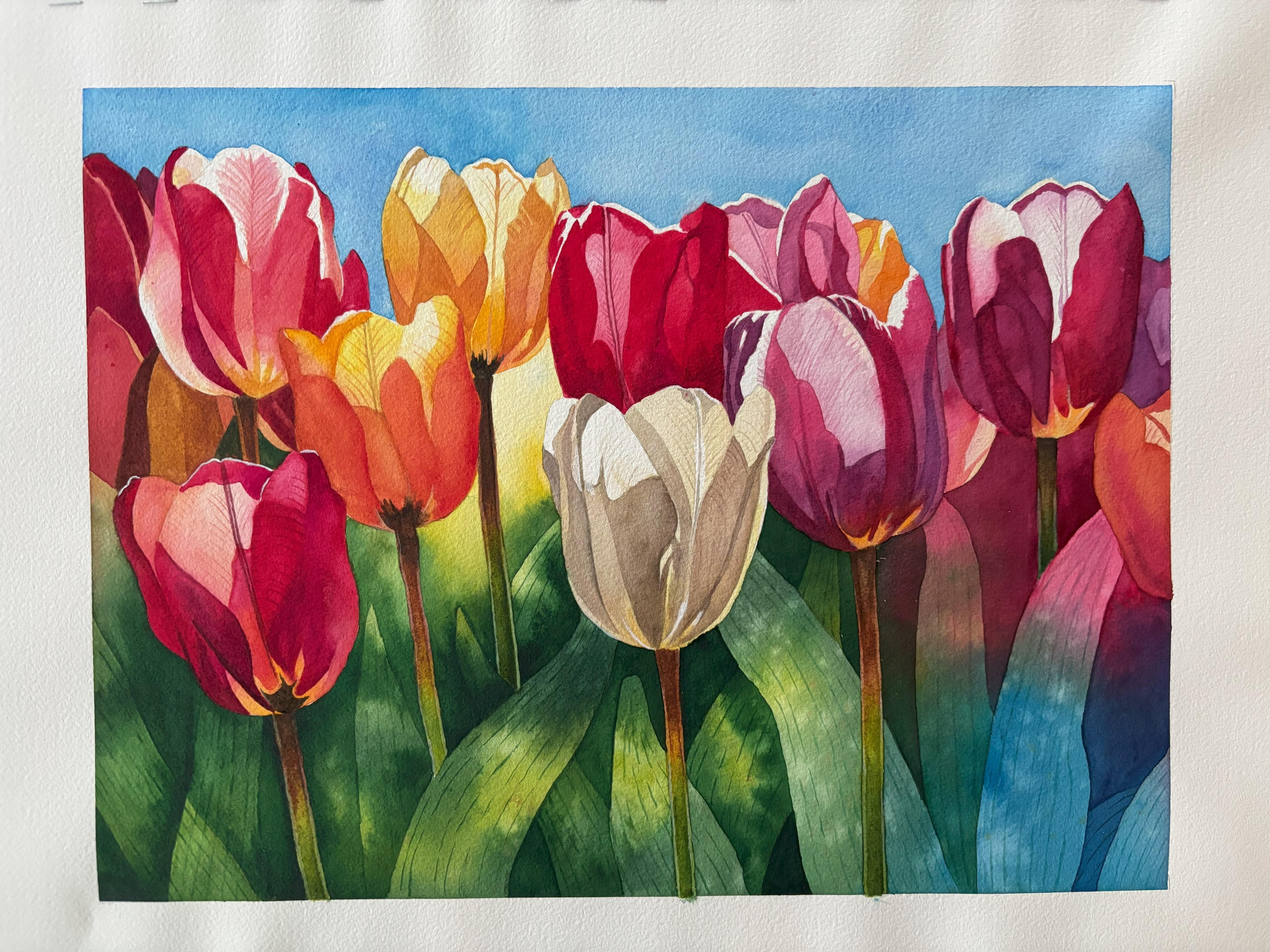 Tulips - student project