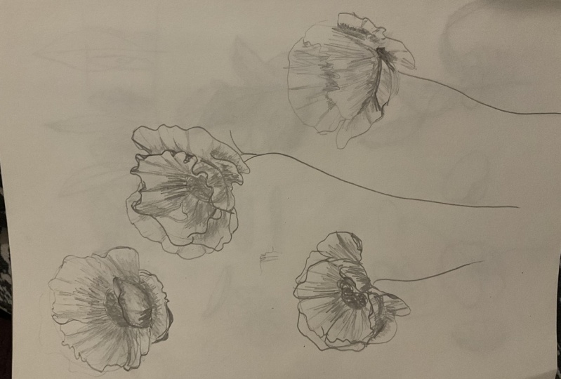 Drawing flowers