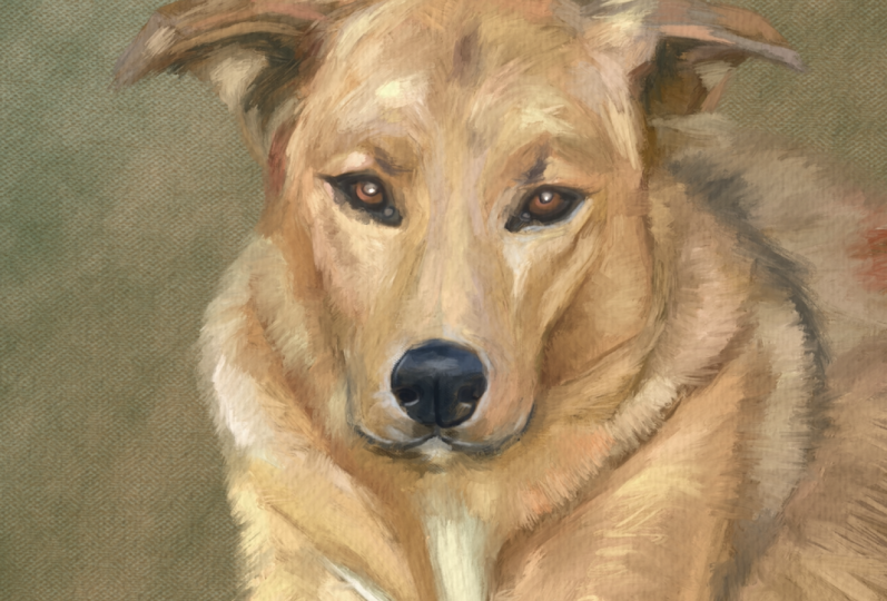 My dog Jean