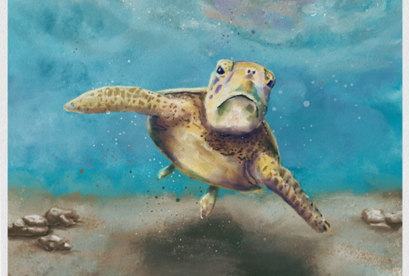 Sea Turtle - Procreate Watercolor