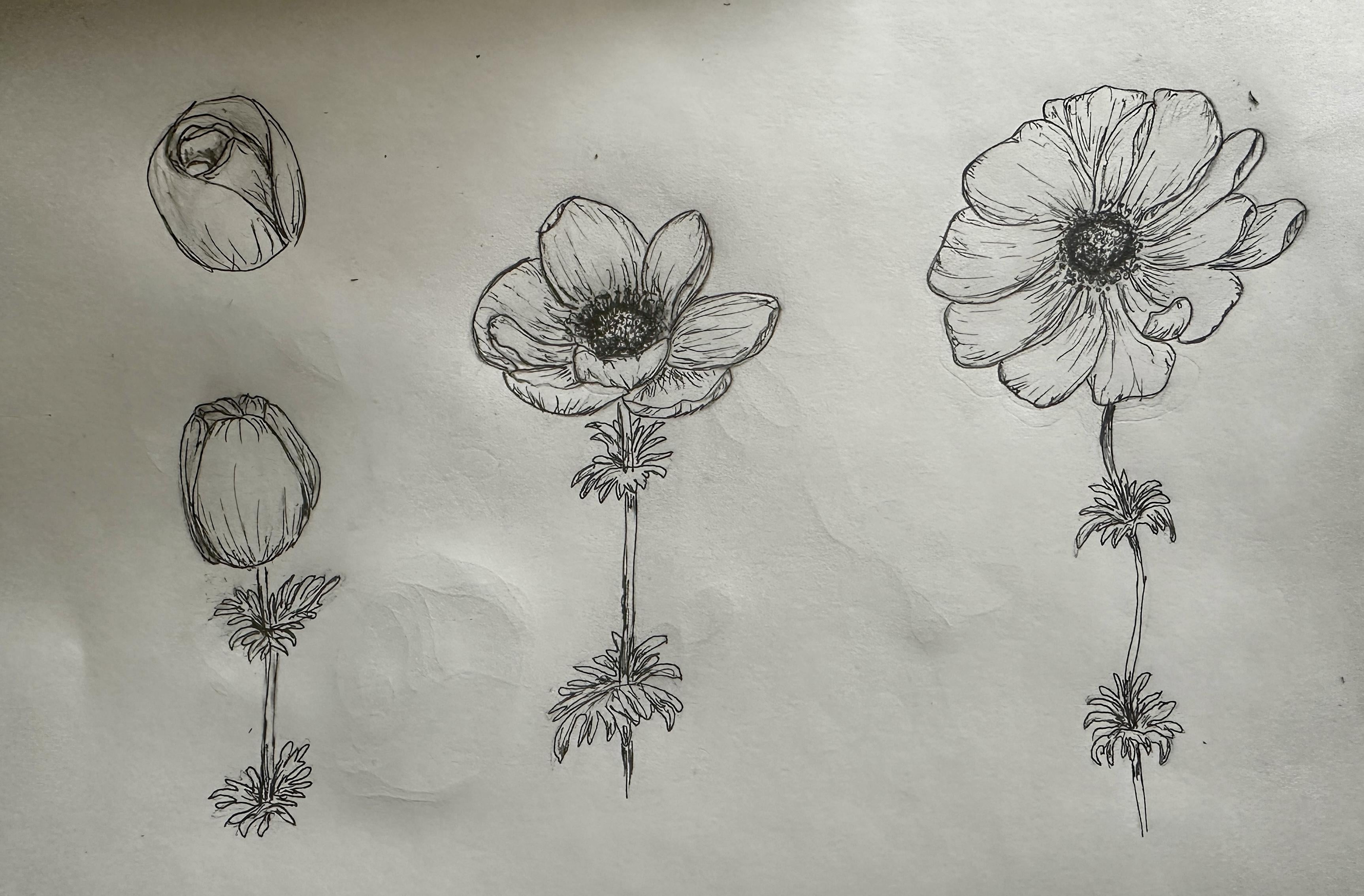 more-projects-from-class-img