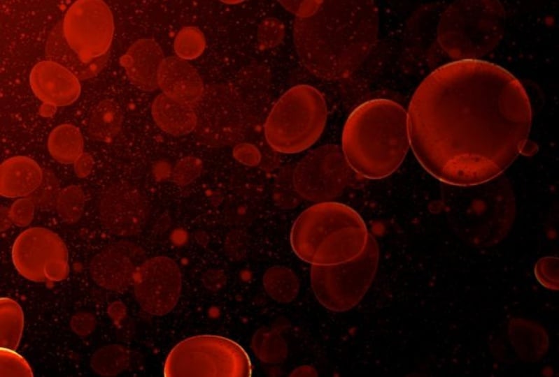 Table of Nutrition food for Bloodtype A-