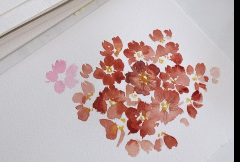 loose primrose