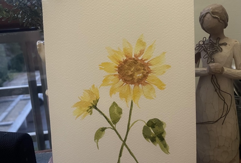 Sunflower