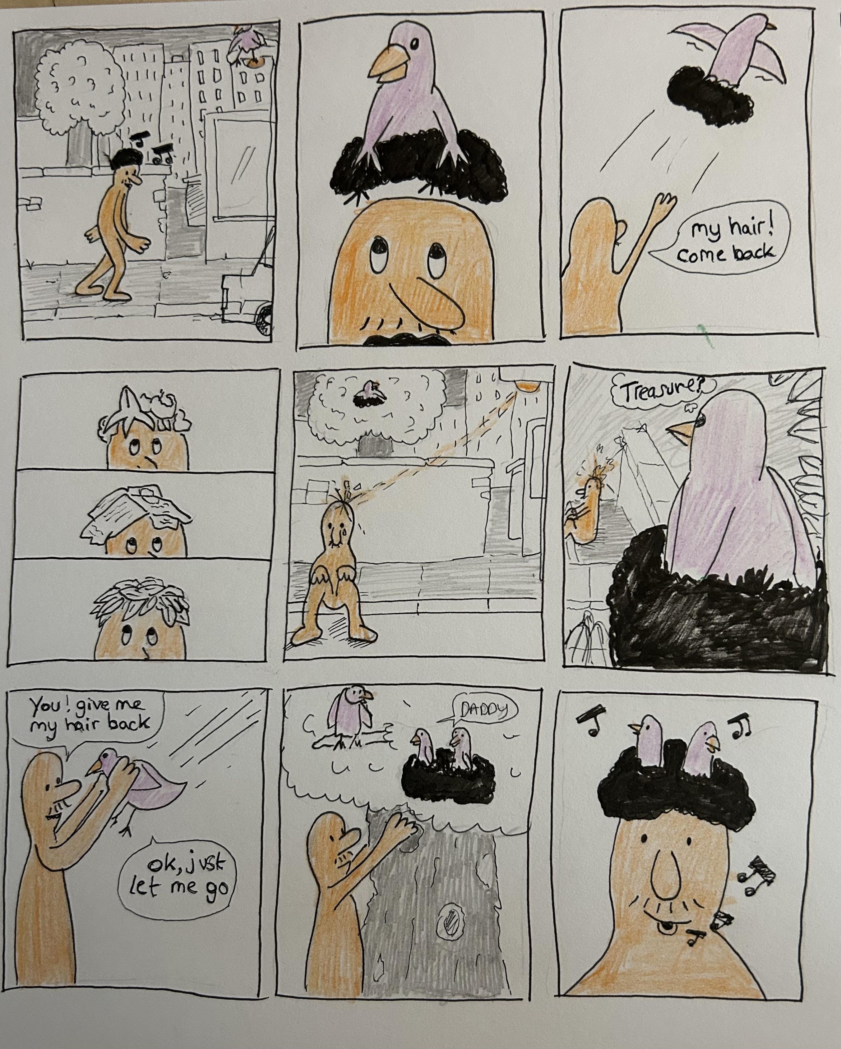 Hair today, gone tomorrow - student project