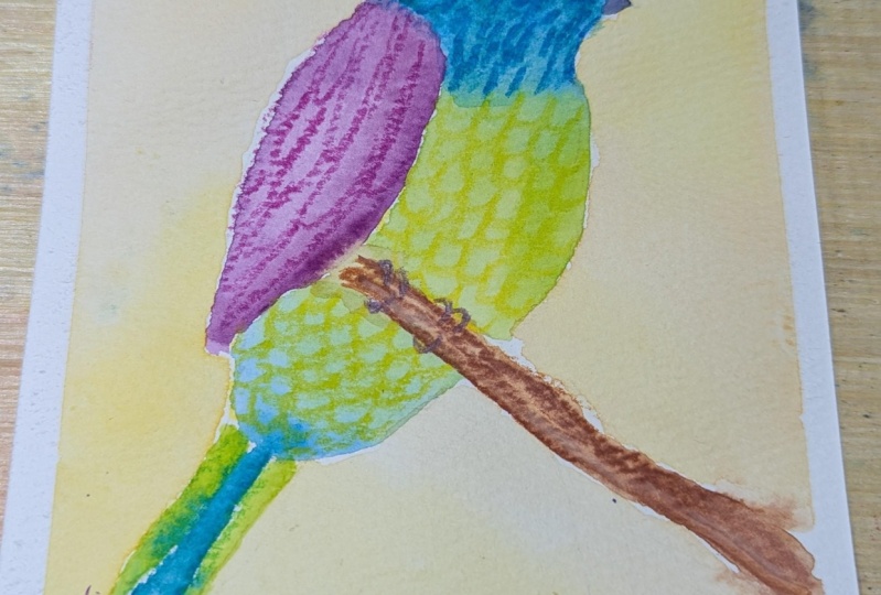 Watercolor Bird with Water Soluble Pastels