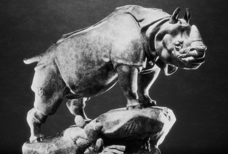 Rhino Dawing