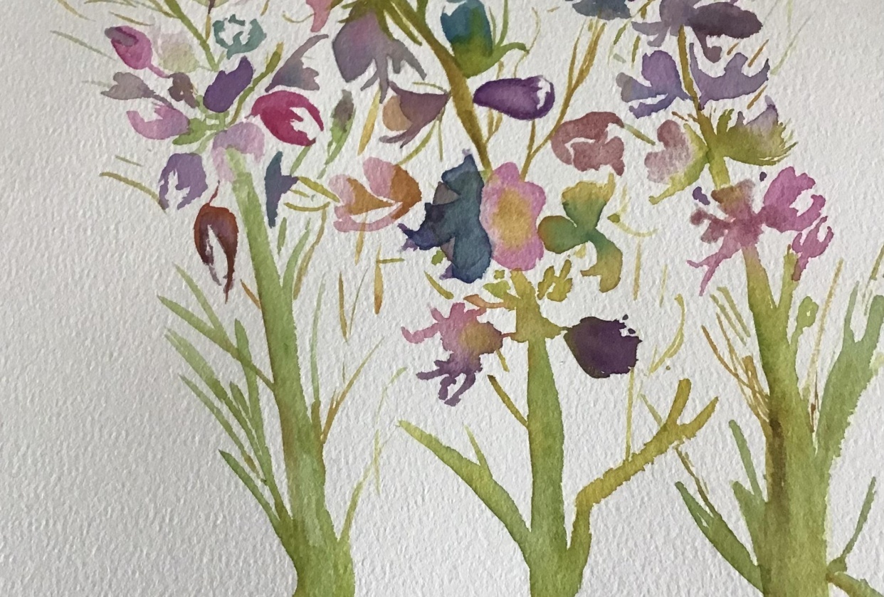 Snapdragons - student project