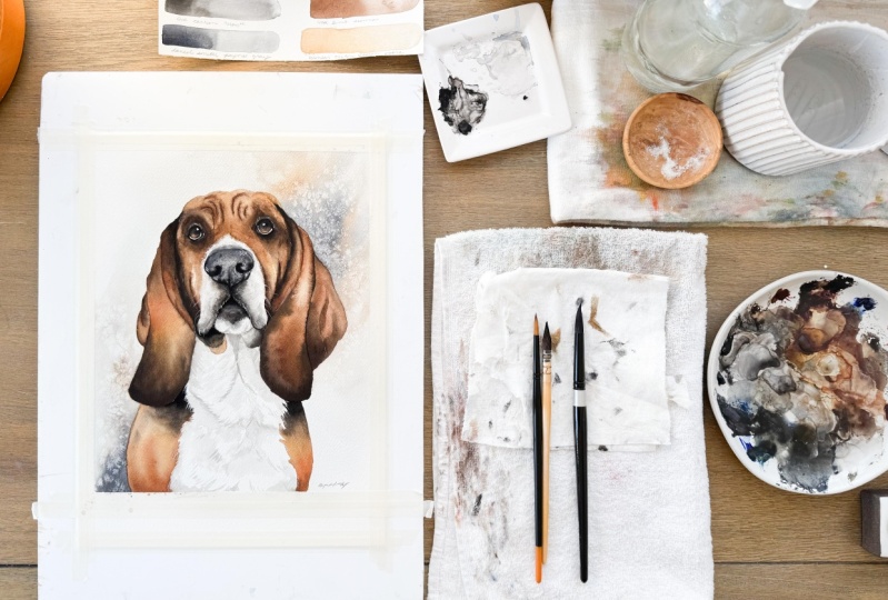 Cooper the Basset Hound w/Background