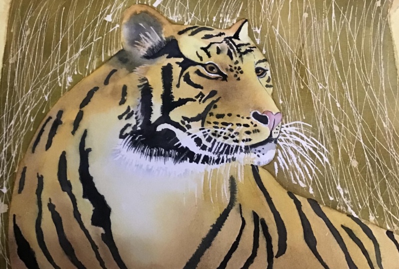 Tiger