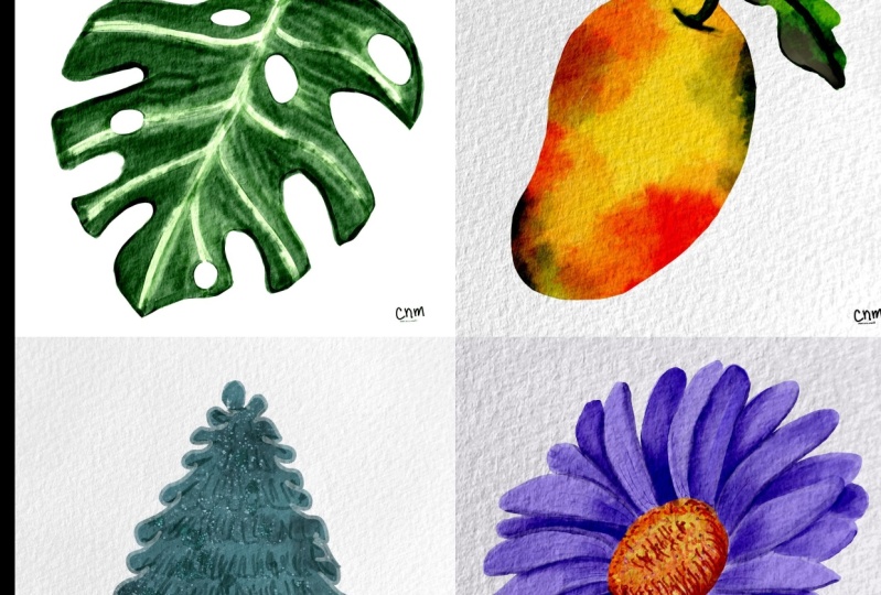 procreate watercolor