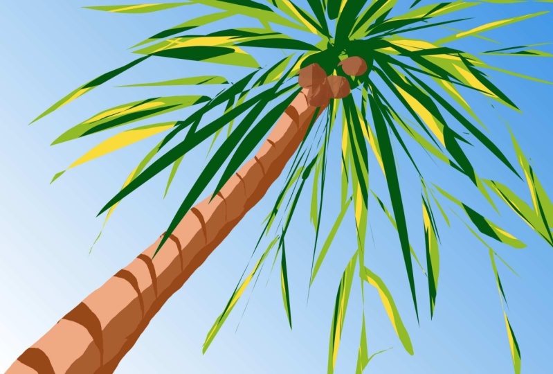 Palm Tree