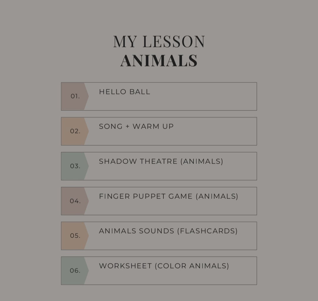 Lesson plan - student project