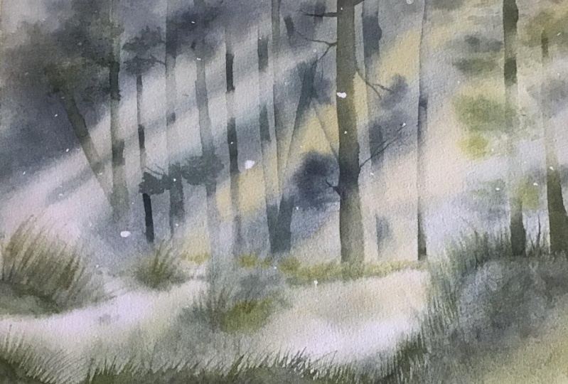 Light filtering through trees