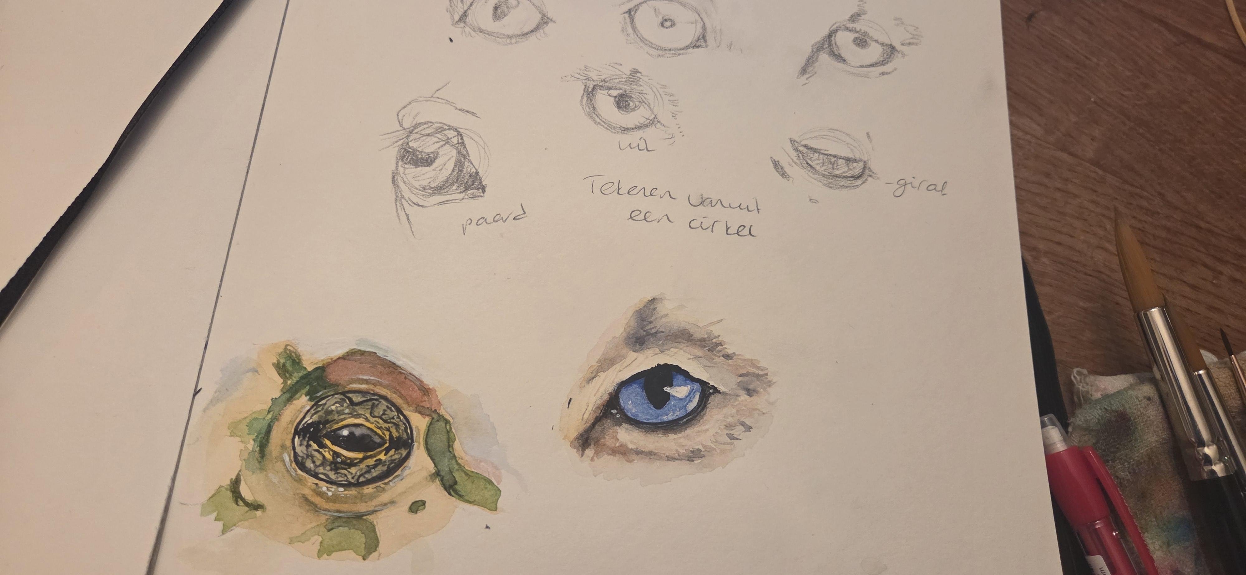 more-projects-from-class-img