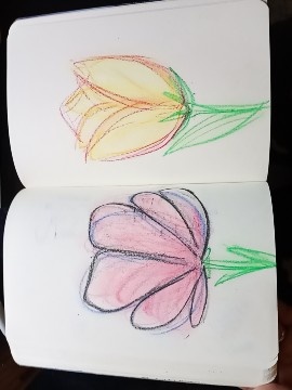 more-projects-from-class-img