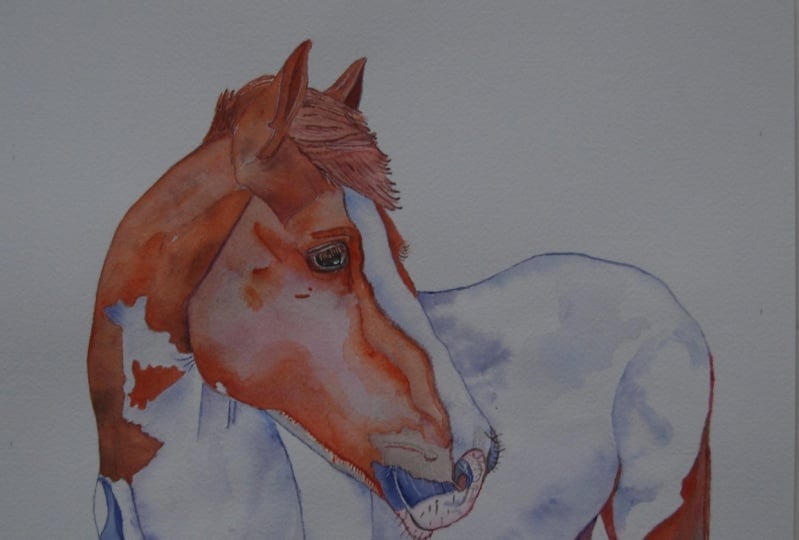 Ginger horse