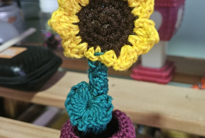 Sunflower