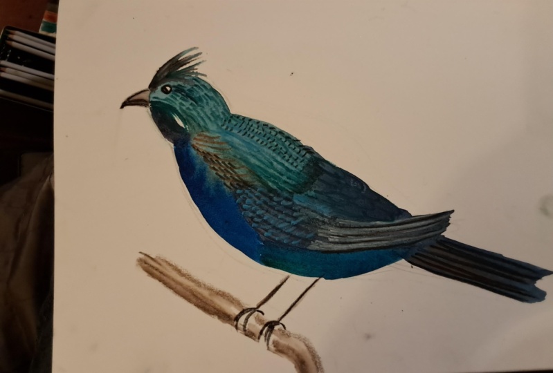 Fantasy birds, watercolour  and watercolour pencils