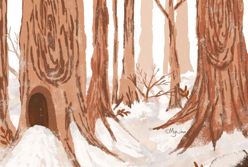 Winter in the forest