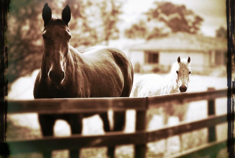 Photographic Composition – The Essential Part of Photography